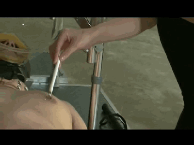 1780059906103001.gif