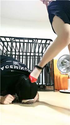 178836030447221.jpg