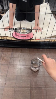 178836036497301.jpg